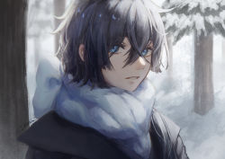 1boy absurdres bishounen blue_eyes blue_hair blue_scarf cold dark_blue_hair eyelashes hair_between_eyes highres looking_at_viewer male_focus outdoors parted_lips scarf signature snow solo tree upper_body vanitas_(vanitas_no_carte) vanitas_no_carte zieru