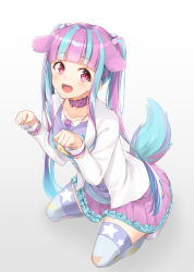 Rule 34 | 1girl, :d, aito (indigorabbit), animal ears, bang dream!, bead bracelet, beads, belt collar, blue hair, blunt bangs, blush, bracelet, breasts, collar, dog ears, dog tail, frilled skirt, frills, from above, full body, gradient background, highres, jacket, jewelry, kneeling, long hair, long sleeves, looking at viewer, multicolored hair, nyubara reona, open clothes, open jacket, open mouth, paw pose, pink hair, pink skirt, purple collar, purple neckwear, purple shirt, red eyes, shirt, sidelocks, sitting, skirt, small breasts, smile, solo, squatting, tail, thighhighs, twintails, white background, white jacket, white thighhighs