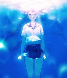 Rule 34 | 1girl, agyou sonokou l, air bubble, animal, arms at sides, bare arms, blue eyes, blue skirt, blue theme, blurry, breasts, bubble, caustics, closed mouth, dolphin, feet out of frame, floating hair, light smile, long hair, looking at viewer, midriff peek, miniskirt, navel, no neckwear, ocean, original, pleated skirt, school uniform, serafuku, short sleeves, skirt, straight-on, submerged, underwater