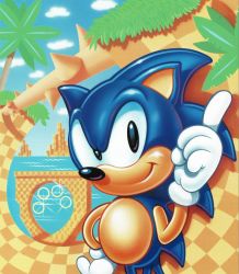 Rule 34 | 1991, 1boy, green hill zone, highres, male focus, official art, retro artstyle, ring (sonic), sega, smug, solo, solo focus, sonic (series), sonic the hedgehog, sonic the hedgehog (classic), sonic the hedgehog 1