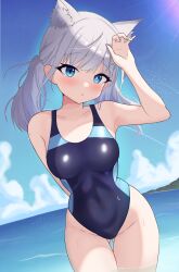 Rule 34 | absurdres, alternate hairstyle, animal ear fluff, animal ears, beach, black one-piece swimsuit, blue archive, blue eyes, blue sky, breasts, cloud, competition swimsuit, covered navel, cross hair ornament, daf (daf 4), day, extra ears, grey hair, hair ornament, halo, highres, horizon, low twintails, medium breasts, medium hair, mismatched pupils, multicolored clothes, multicolored swimsuit, ocean, official alternate costume, one-piece swimsuit, outdoors, shiroko (blue archive), shiroko (swimsuit) (blue archive), sky, swimsuit, twintails, wolf ears