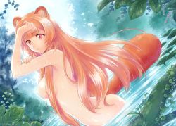 Rule 34 | 1girl, animal ear fluff, animal ears, ass, breasts, brown hair, completely nude, day, long hair, looking away, medium breasts, nude, outdoors, purple eyes, raccoon ears, raccoon girl, raccoon tail, raphtalia, sidelocks, solo, standing, tail, tate no yuusha no nariagari, toes, very long hair, wading, water, watermark, wet, yomo
