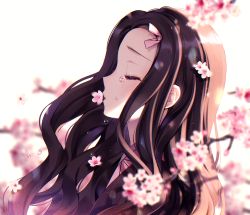 Rule 34 | 1girl, black hair, blurry, blurry background, blurry foreground, branch, cherry blossoms, closed eyes, commentary, crying, depth of field, flower, hair ribbon, japanese clothes, kamado nezuko, kimetsu no yaiba, kimono, long hair, nami (nyaa), open clothes, parted bangs, pink flower, pink kimono, pink ribbon, profile, ribbon, solo, tears, upper body, white background