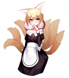 Rule 34 | 1girl, absurdres, alternate costume, animal ears, arknights, bare shoulders, beudelb, black dress, blonde hair, braid, commentary, cowboy shot, dress, fox ears, fox girl, fox tail, green eyes, hair between eyes, hand to own mouth, highres, korean commentary, looking at viewer, maid, material growth, multicolored hair, multiple tails, off-shoulder dress, off shoulder, oripathy lesion (arknights), short hair with long locks, simple background, solo, streaked hair, suzuran (arknights), tail, white background, white hair