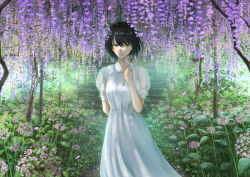 Rule 34 | 1girl, arm behind back, black hair, blush, bob cut, flower, highres, holding, holding flower, k ryo, looking at viewer, original, outdoors, parted lips, short hair, short sleeves, solo, standing, yellow eyes
