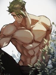 Rule 34 | 1boy, abs, achilles (fate), black pants, blurry, blurry foreground, brown eyes, closed mouth, collarbone, fate/apocrypha, fate (series), green hair, haruakira, highres, holding, holding clothes, holding jacket, jacket, large pectorals, looking at viewer, male focus, mature male, muscular, muscular male, outdoors, pants, pectorals, serious, short hair, solo, topless male