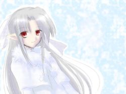 Rule 34 | 00s, albino, melty blood, pointy ears, red eyes, solo, tsukihime, type-moon, white hair, white len (tsukihime)