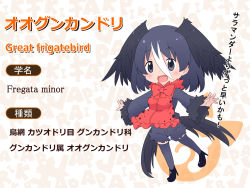 Rule 34 | 10s, 1girl, :d, apron, black eyes, black hair, black thighhighs, blush, bow, bowtie, character name, full body, fur-trimmed sleeves, fur collar, fur trim, hair between eyes, head wings, high heels, highres, japari symbol, kemono friends, long sleeves, looking at viewer, makuran, multicolored hair, open mouth, original, outstretched arms, red apron, red bow, red bowtie, scientific name, shorts, smile, solo, spread arms, thighhighs, white hair, wide sleeves, wings