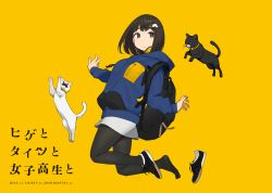 Rule 34 | absurdres, animal, belt collar, black bag, black cat, blue hoodie, bow, bowtie, cat, collar, facial hair, hair ornament, hairband, highres, hood, hoodie, jumping, looking at viewer, mustache, pantyhose, shoe loss, unworn shoe, shoes, unworn shoes, short hair, simple background, skirt, white cat, white skirt, yellow background, yellow neckwear, yomu (sgt epper)