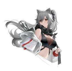 Rule 34 | 1girl, absurdres, animal ears, arknights, bare shoulders, black scarf, breasts, cat ears, cleavage, commentary request, crop top, cropped torso, grey hair, hair over one eye, highres, jacket, large breasts, long hair, midriff, off shoulder, ponytail, scarf, schwarz (arknights), shenqi xiao hong zai nali, simple background, solo, stomach, upper body, very long hair, white background, white jacket, yellow eyes