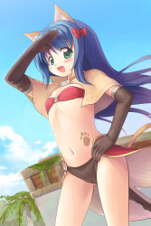 Rule 34 | 1girl, :d, animal ears, blue hair, blush, cameltoe, elbow gloves, emurin, gloves, green eyes, hand on own hip, highres, mage (ragnarok online), open mouth, paw print, pelvic curtain, ragnarok online, smile, solo, tail