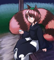 Rule 34 | 1girl, animal ears, brown hair, choko (cup), futatsuiwa mamizou, ganmaganmo, glasses, highres, japanese clothes, leaf, leaf on head, object on head, raccoon ears, raccoon tail, red eyes, sitting, slit pupils, smile, tail, touhou