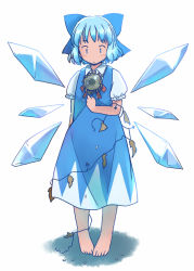 Rule 34 | 1girl, :|, arm at side, backlighting, barefoot, blue bow, blue dress, blue eyes, blue hair, blush, bow, cirno, clenched hand, closed mouth, collared shirt, commentary request, detached wings, dress, expressionless, facing viewer, flower, frilled sleeves, frills, full body, hair bow, hand up, ice, ice wings, leaf, long dress, looking down, neck flower, neck ribbon, no nose, pinafore dress, plant, puffy short sleeves, puffy sleeves, rangycrow, red ribbon, ribbon, seed, shirt, short hair, short sleeves, simple background, sleeveless dress, solo, standing, straight-on, sunflower, sunflower seed, tan, tanned cirno, toes, touhou, vines, white background, white shirt, wilted flower, wing collar, wings, withered