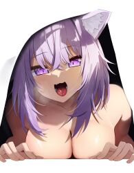 1girl :3 absurdres animal_ear_fluff animal_ears blush breasts cat_ears cat_girl collarbone commentary fingernails hair_between_eyes highres hololive large_breasts looking_at_viewer medium_hair nekomata_okayu nude open_mouth purple_eyes purple_hair simple_background solo teeth tongue tsushi under_covers virtual_youtuber white_background