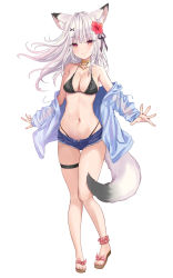 Rule 34 | 1girl, akino ell, animal ears, bare shoulders, bikini, black bikini, blue jacket, blue shorts, breasts, cleavage, collar, collarbone, cutoffs, drawstring, floating hair, flower, fox ears, fox girl, fox tail, full body, hair flower, hair ornament, halterneck, halterneck, hibiscus, highres, jacket, large breasts, long hair, long sleeves, looking at viewer, micro shorts, navel, off shoulder, open clothes, open jacket, original, red eyes, sandals, scrunchie, see-through, shorts, simple background, smile, solo, stomach, string bikini, swimsuit, tail, thigh strap, thighs, white background, white hair, x hair ornament