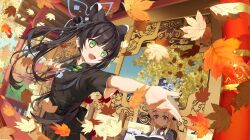 Rule 34 | 2girls, absurdres, animal ears, autumn, autumn leaves, black dress, black hair, blue archive, blue halo, china dress, chinese clothes, cleavage cutout, clothing cutout, dalian (1457091741), dress, extra ears, falling leaves, green eyes, halo, highres, kokona (blue archive), leaf, long hair, maple leaf, multiple girls, open mouth, orange eyes, outstretched arms, short sleeves, shun (blue archive), shun (small) (blue archive), side slit, sleeveless, sleeveless dress, spread arms, textless version, tiger ears, tiger girl, twintails, white hair