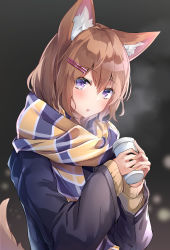 Rule 34 | 1girl, absurdres, animal ear fluff, animal ears, black jacket, blurry, blurry background, breath, brown hair, brown sweater, coffee cup, commentary request, cup, depth of field, disposable cup, fox ears, fox girl, fox tail, fringe trim, hair between eyes, hair ornament, hairclip, highres, holding, holding cup, jacket, kurohikage, long sleeves, looking at viewer, original, parted lips, purple eyes, scarf, solo, sweater, tail, tail raised, upper body