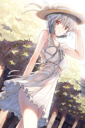 Rule 34 | 1girl, 90i, arm behind back, ayanami rei, bad id, bad pixiv id, breasts, day, dress, hand on headwear, hat, looking at viewer, medium breasts, neon genesis evangelion, outdoors, panties, red eyes, see-through, see-through silhouette, short hair, silver hair, solo, sun hat, sundress, tree, underwear