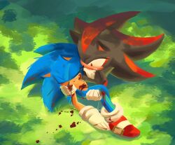 2boys animal_ears animal_nose blood blood_on_face blood_on_ground blood_on_leg carrying closed_eyes commentary_request full_body furry furry_male gloves grass highres injury korean_commentary looking_at_another male_focus multiple_boys red_eyes red_footwear shadow_the_hedgehog shoes sonic_(series) sonic_the_hedgehog white_gloves yangfaa_sonic