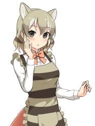 Rule 34 | 1girl, absurdres, animal ear fluff, animal ears, apron, black eyes, blush, bow, bowtie, commentary request, empty eyes, extra ears, grey hair, hand on own cheek, hand on own face, highres, kemono friends, long sleeves, looking at viewer, medium hair, multicolored hair, orange bow, orange bowtie, parted lips, shiraha maru, shirt, simple background, solo, striped apron, striped clothes, tail, thylacine (kemono friends), white background, white hair, white shirt