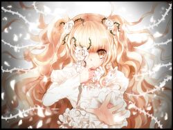 Rule 34 | 1girl, black border, blonde hair, border, commentary request, covering own mouth, flat chest, flower, flower over eye, frilled shirt, frills, grey background, hair flower, hair ornament, juliet sleeves, kirakishou, kuromitsu maria, lolita fashion, long hair, long sleeves, looking at viewer, medium bangs, plant, puffy sleeves, reaching, reaching towards viewer, rose, rozen maiden, shirt, sidelocks, solo, two side up, upper body, very long hair, vines, wavy hair, white flower, white rose, white shirt, yellow eyes