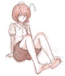 Rule 34 | 1girl, antennae, bare legs, barefoot, feet, full body, highres, kuro suto sukii, legs, limited palette, looking at viewer, monochrome, puffy short sleeves, puffy sleeves, shirt, short hair, short sleeves, shorts, simple background, sitting, soles, solo, thighs, toe scrunch, toes, touhou, wriggle nightbug