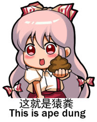 Rule 34 | 1girl, bilingual, blush, bow, chibi, chinese text, english text, engrish text, fujiwara no mokou, hair bow, jokanhiyou, long hair, lowres, mixed-language text, multi-tied hair, open mouth, poop, ranguage, red eyes, simple background, solo, suspenders, touhou, translation request, white background