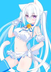 Rule 34 | 1girl, absurdres, animal ears, apron, armpits, bare shoulders, bell, blue background, blue choker, blue panties, blue thighhighs, breasts, cat ears, cat girl, cat tail, choker, closed mouth, crop top, detached sleeves, fang, frilled gloves, frills, frown, furrowed brow, gloves, hand on own hip, hand up, highres, jingle bell, long hair, looking at viewer, medium breasts, midriff, navel, neck ribbon, nikyuppa, original, panties, purple eyes, ribbon, shirt, short sleeves, simple background, sleeveless, sleeveless shirt, solo, spaghetti strap, stomach, tail, thighhighs, thighs, twintails, underwear, very long hair, waist apron, white apron, white gloves, white hair, white shirt