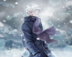 Rule 34 | 1boy, aqua eyes, black gloves, breath, coat, from side, ginko, gloves, hands in pockets, jane mere, long sleeves, looking away, male focus, mushishi, outdoors, parted lips, purple scarf, scarf, snow, snowing, solo, upper body, white hair, winter