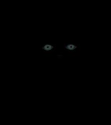 Rule 34 | constricted pupils, darkness, eyes in shadow, face in shadow, glowing, glowing eyes, horror (theme), kasuya baian, looking at viewer, red eyes, rumia, touhou, umbrakinesis