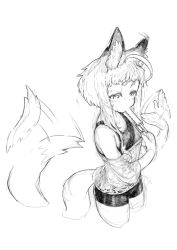 Rule 34 | 1girl, afterimage, ahoge, animal ear fluff, animal ears, bike shorts, eating, fanning face, fanning self, food, fox ears, fox girl, fox tail, greyscale, hikimayu, hot, jaco, monochrome, off shoulder, original, popsicle, see-through, short shorts, shorts, solo, sweat, tail, thick eyebrows, white background