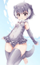 Rule 34 | 1girl, :3, animal ears, bare shoulders, blush, elbow gloves, fingerless gloves, fur collar, gloves, grey eyes, grey gloves, grey hair, grey one-piece swimsuit, grey thighhighs, highres, kemono friends, kolshica, multicolored hair, one-piece swimsuit, otter ears, otter girl, otter tail, short hair, sleeveless, small-clawed otter (kemono friends), solo, swimsuit, tail, thighhighs, toeless legwear, two-tone hair, two-tone swimsuit, white fur, white hair, white one-piece swimsuit