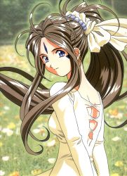 Rule 34 | 1girl, aa megami-sama, artist request, belldandy, blue eyes, brown hair, dress, earrings, female focus, flower, grass, highres, jewelry, outdoors, ponytail, smile, solo