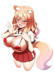 Rule 34 | 1girl, animal ears, bikini, blush, breasts, cleavage, clothes lift, fate/extra, fate/extra ccc, fate/extra ccc fox tail, fate (series), fox ears, fox girl, fox tail, highres, large breasts, long hair, looking at viewer, open mouth, orange eyes, orange hair, red bikini, red skirt, shirt, shirt lift, short sleeves, sidelocks, skirt, smile, solo, suzuka gozen (fate), swimsuit, tail, thighs, tongue, tongue out, white shirt, yuzu kiro