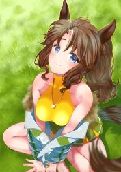 Rule 34 | 1girl, animal ears, bare shoulders, blue eyes, blush, breasts, closed mouth, commentary request, cropped shirt, ear ornament, fur-trimmed jacket, fur trim, grass, green skirt, hair between eyes, highres, horse ears, indian style, jacket, jacket partially removed, jewelry, large breasts, long hair, long sleeves, looking at viewer, mejiro palmer (umamusume), multicolored hair, necklace, on grass, on ground, outdoors, pleated skirt, shirt, sitting, skirt, sleeveless, sleeveless shirt, smile, solo, streaked hair, tk (takodagon), umamusume, white hair, white jacket, yellow shirt