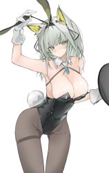Rule 34 | 1girl, alternate costume, animal ears, arknights, arm up, black leotard, black pantyhose, blush, breasts, cameltoe, cat ears, cleavage, closed mouth, commentary, detached collar, embarrassed, fake animal ears, fake tail, feet out of frame, furrowed brow, gloves, green eyes, hair between eyes, hairband, highleg, highleg leotard, highres, holding, holding tray, jewelry, kal&#039;tsit (arknights), large breasts, leaning forward, leotard, long hair, looking at viewer, material growth, mikozin, oripathy lesion (arknights), pantyhose, pendant, playboy bunny, rabbit ears, rabbit tail, silver hair, simple background, skin tight, skindentation, solo, standing, tail, thighband pantyhose, tray, white background, white gloves, wide hips, wing collar
