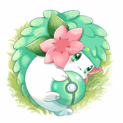 Rule 34 | aimi (aimia492), alternate color, artist name, blush, commentary request, creatures (company), flower, full body, game freak, gen 4 pokemon, grass, green eyes, hugging object, legendary pokemon, looking at viewer, lying, mythical pokemon, nintendo, no humans, on side, pink flower, poke ball, pokemon, pokemon (creature), raised eyebrows, shaymin, shaymin (land), shiny pokemon, simple background, solo, strange ball, twitter username, white background