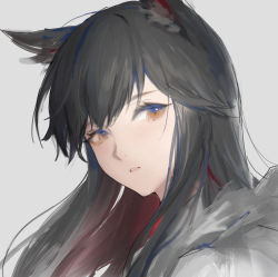 Rule 34 | 1girl, animal ears, arknights, black hair, brown eyes, commentary request, grey background, head tilt, highres, jiam009, long hair, looking at viewer, parted lips, portrait, simple background, solo, texas (arknights), wolf ears