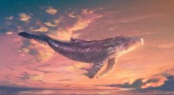 Rule 34 | absurdres, anato finnstark, artist name, cloud, flying, flying whale, from side, highres, no humans, ocean, outdoors, sky, sunset, whale
