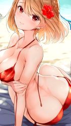 Rule 34 | arm support, ass, azur lane, backlighting, beach, bikini, blonde hair, blush, braid, breast hold, breasts, butt crack, cleavage, closed mouth, dimples of venus, earrings, flower, french braid, from behind, hair flower, hair ornament, halterneck, hibiscus, highres, jewelry, large breasts, light brown hair, looking at viewer, nylon (nylon 100%), outdoors, prince of wales (azur lane), red bikini, red eyes, short hair, side-tie bikini bottom, side braid, sitting, smile, solo, swimsuit, twisted torso, untied bikini