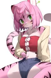 Rule 34 | 1girl, animal ears, bra, breasts, denim, denim shorts, etivka, furry, furry female, green eyes, highres, jacket, large breasts, looking at viewer, navel, open clothes, open jacket, original, pink fur, pink hair, red bra, short hair, short shorts, shorts, simple background, solo, spread legs, tail, tiger ears, tiger girl, tiger tail, underwear, white background, white jacket