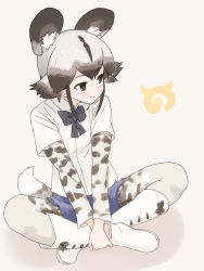 Rule 34 | 10s, 1girl, african wild dog (kemono friends), animal ears, animal print, black bow, black bowtie, black eyes, black hair, boots, bow, bowtie, closed mouth, dog ears, dog tail, dress shirt, grey background, grey hair, highres, indian style, japari symbol, kemono friends, layered sleeves, long sleeves, multicolored hair, pantyhose, pantyhose under shorts, print pantyhose, shadow, shirt, short over long sleeves, short sleeves, shorts, sitting, smile, solo, tail, two-tone hair, uasi, v arms, white footwear, white pantyhose, white shirt, wing collar