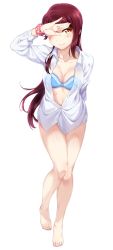 Rule 34 | 1girl, absurdres, arm behind back, artist name, barefoot, blue bra, bra, breasts, cleavage, full body, hair ornament, hairclip, half updo, hand on forehead, hand over eye, highres, long hair, long sleeves, love live!, love live! sunshine!!, medium breasts, no pants, partially unbuttoned, pink scrunchie, polka dot, polka dot scrunchie, red hair, sakurauchi riko, scrunchie, shirt, simple background, solo, surfing orange, underwear, very long hair, white background, white shirt, wrist scrunchie, yellow eyes