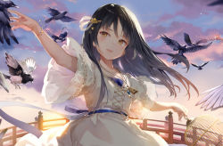 Rule 34 | 1girl, bird, birdcage, black hair, blue ribbon, brown eyes, cage, dress, gilse, holding, holding cage, jewelry, key, long hair, magpie, necklace, outdoors, railing, ribbon, short sleeves, solo, standing, sunset, whistle, white dress