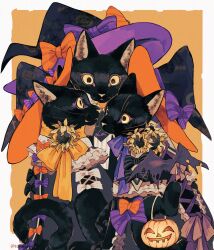 Rule 34 | animal, animal focus, black cat, black hat, border, bow, bowtie, cat, clothed animal, flower, frills, halloween, halloween bucket, hat, hat bow, highres, holding, holding with tail, no humans, orange background, orange bow, original, outside border, prehensile tail, pumpkin print, purple bow, simple background, spider web print, striped bow, striped bowtie, striped clothes, sunflower, tail, tonbippo08, whiskers, white border, wilted flower, witch hat, yellow bow, yellow bowtie, yellow eyes
