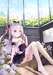 Rule 34 | 1girl, animal ears, azur lane, bare shoulders, black bow, black dress, blue eyes, blue sky, bow, breasts, bubble, cat ears, cat hair ornament, choker, cloud, cloudy sky, collarbone, commentary request, day, dress, flower, frilled dress, frills, hair bow, hair ornament, hair ribbon, twirling hair, hammann (azur lane), highres, indoors, karin (fineyanny), long hair, no shoes, on floor, one side up, panties, parted lips, puffy short sleeves, puffy sleeves, red choker, red ribbon, remodel (azur lane), ribbon, rose, short sleeves, sidelocks, sign, silver hair, sitting, sky, small breasts, solo, thighhighs, underbust, underwear, very long hair, white flower, white panties, white rose, white thighhighs