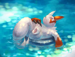 Rule 34 | afloat, claws, closed mouth, commentary request, creatures (company), fangs, fangs out, game freak, gen 3 pokemon, kikuyoshi (tracco), looking at viewer, lying, nintendo, no humans, on back, pokemon, pokemon (creature), solo, water, white fur, zangoose