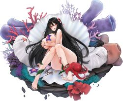 Rule 34 | 1girl, amphitrite (last origin), anklet, barefoot, bikini, bikini bottom aside, black hair, blush, bracelet, breasts, broken necklace, clothing aside, coral, covering nipples, covering privates, crumbling, defeat, falling petals, feet, flower, full body, hair between eyes, hair flower, hair ornament, injury, jewelry, kelp, knees together feet apart, large breasts, last origin, leaf bracelet, long hair, looking at viewer, mel (dodosae), necklace, net, octopus, official alternate costume, official art, one eye closed, open mouth, petals, pink flower, red eyes, saliva, seaweed, shell, shell necklace, simple background, sitting, skindentation, solo, starfish bikini, suggestive fluid, sweat, swimsuit, tachi-e, tearing up, tentacles, third-party source, toenails, toes, torn bikini, torn clothes, transparent background, underboob