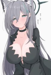 Rule 34 | 1girl, absurdres, ahoge, animal ear fluff, animal ears, black choker, black dress, blue archive, blue eyes, blush, breasts, choker, cleavage, cross hair ornament, dress, extra ears, grey hair, hair between eyes, hair ornament, halo, highres, large breasts, long hair, long sleeves, looking at viewer, mismatched pupils, nui (nuinui0300), shiroko (blue archive), shiroko terror (blue archive), solo, translation request, wolf ears