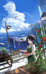 Rule 34 | 1girl, aircraft, apron, black hair, blue eyes, blue sky, breasts, city, closed mouth, cloud, commentary request, cowboy shot, cumulonimbus cloud, day, food, green apron, helicopter, highres, holding, juice, lamp, long hair, looking at viewer, may9, medium breasts, original, outdoors, plant, short sleeves, signature, sky, smile, solo, standing, summer, sweat, tomato, water